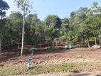 Residential Land for Sale in Sinharagama