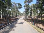 Residential land for sale in Sinharagama