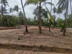 Residential Land for Sale in Tangalle