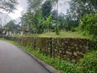 Residential Land for Sale in Thalagala - DIL060L