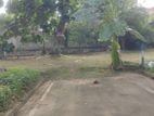 Residential Land for Sale in Thalahena