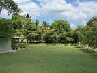 Residential Land For Sale In Thalawathugoda