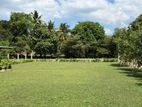 Residential Land for Sale in Thalawathugoda