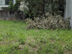 RESIDENTIAL LAND FOR SALE IN THALAWATHUGODA HOKANDARA