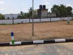 Residential Land for Sale in Thalawathugoda(S20)