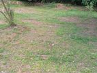 Residential Land for Sale in Thudella, Ja-Ela