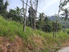 Residential land for sale in Uthuwankanda
