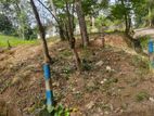 Residential land for sale in Uthuwankanda