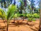 Residential Land for Sale in Veyangoda Road, Nittambuwa - A32