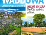 Residential Land for Sale in Wadduwa Moranthuduwa