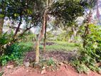 Residential Land for Sale in Waskaduwa (C7-5450)