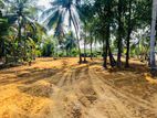 Residential Land for sale in Wattala Mahabage