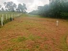 Residential Land for Sale in Welipenna, Aluthgama