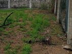 Residential Land for Sale In Welmilla