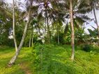 Residential Land for Sale Kadawatha City