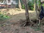 Residential Land for Sale Kalalgoda