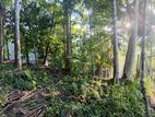 Residential Land for Sale in Wattegama