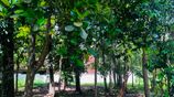 Residential Land for Sale – Kesbewa, Viharamawatha