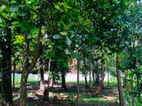 Residential Land for Sale – Kesbewa, Viharamawatha