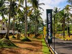 Residential Land for Sale- කිරිවත්තුඩුව