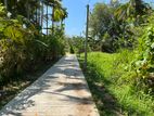 Residential Land in Alawwa