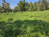 Residential Land for sale Kurunegala