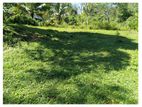 Residential Land for Sale Maputugala