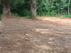 Residential Land for Sale – Matale