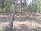 Residential Land for Sale Meewewa, Narammala