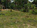 Residential Land for Sale Nattandiya