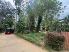 Residential Land for Sale Near Nawalapitya Hospital