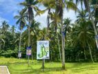 Residential Land for Sale Near the New Highway Entrance in Meerigama