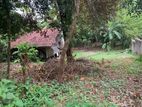 Residential Land for Sale. නේවාසික ඉඩමක් විකිණීමට Ragama.