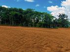 Residential land for sale Padukka Wateraka