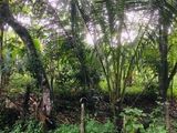 Residential Land for Sale – Panagoda, Homagama