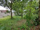Residential Land for Sale Pannipitiya