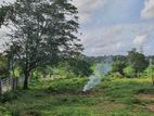 Residential Land for Sale Pannipitiya