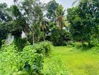 Residential Land for Sale - Piliyandala