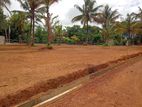 Residential Land for sale Polgasowita- Kahathuduwa