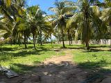 Residential Land for Sale Tangalle