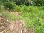 Residential Land for Sale Thalawathugoda