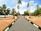 Residential Land for Sale Thalawathugoda