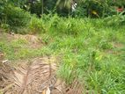 Residential Land for Sale Thalawathugoda