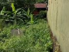 Residential Land for Sale Thalawathugoda