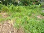 Residential Land for Sale Thalawathugoda