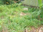 Residential Land for Sale Thalawathugoda