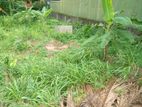 Residential Land for Sale Thalawathugoda