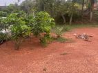 Residential Land for Sale in Kotugoda