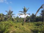 Residential Land in Ambanwita, Gampaha