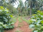Residential Land in Embilipitiya